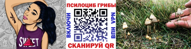 мега зеркало  Зарайск  Галлюциногенные грибы GOLDEN TEACHER  хочу наркоту 